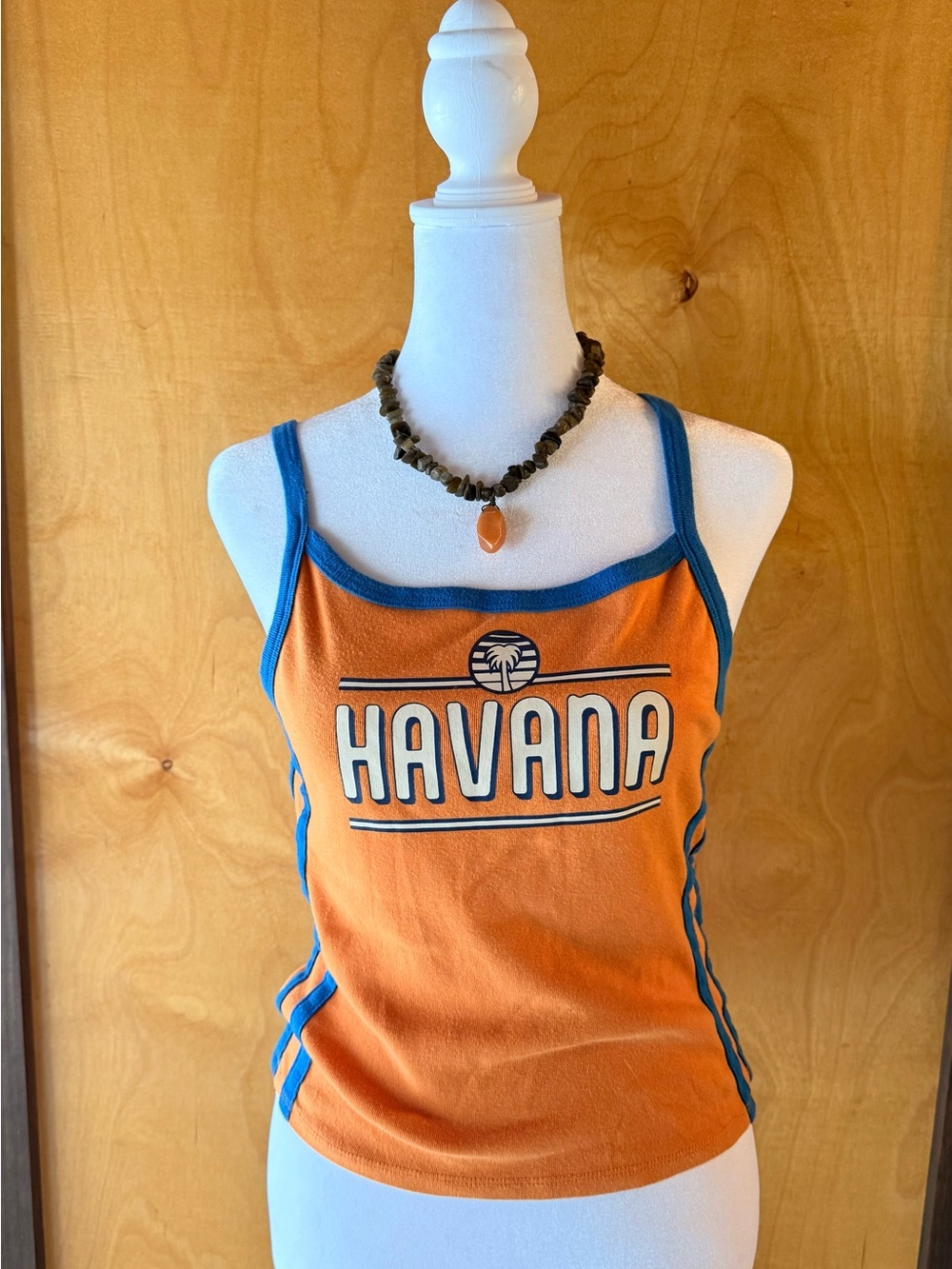 BDG Orange Tank with Blue Trim